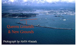 Queens grounds and New Grounds